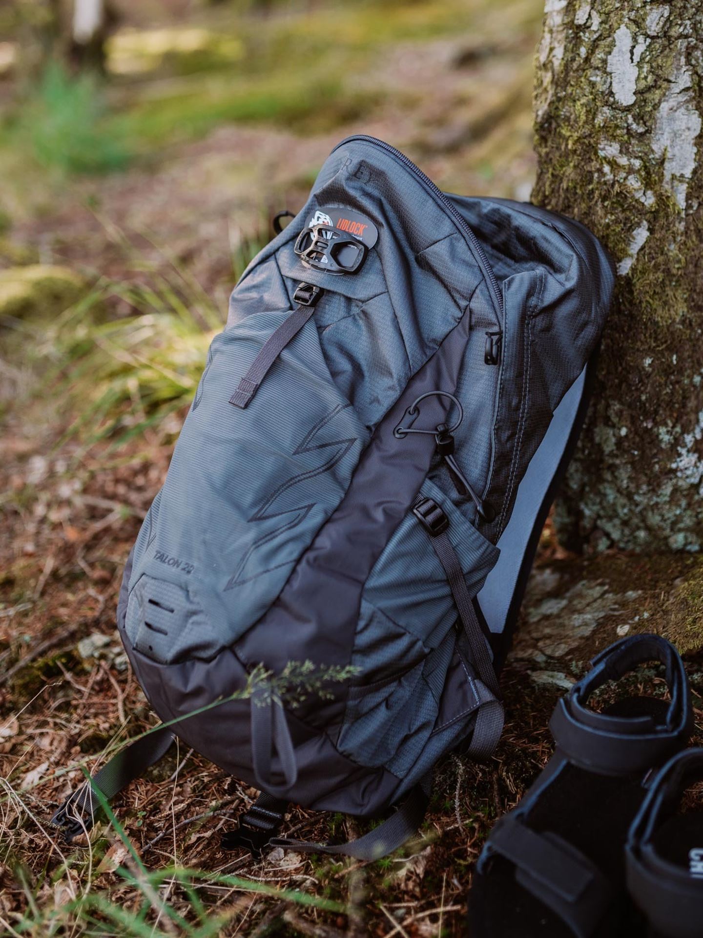 Osprey Talon 22