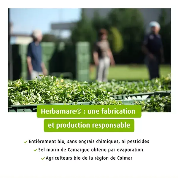 Sal marinho A.Vogel Herbamare com plantas e vegetais frescos orgânicos 500g