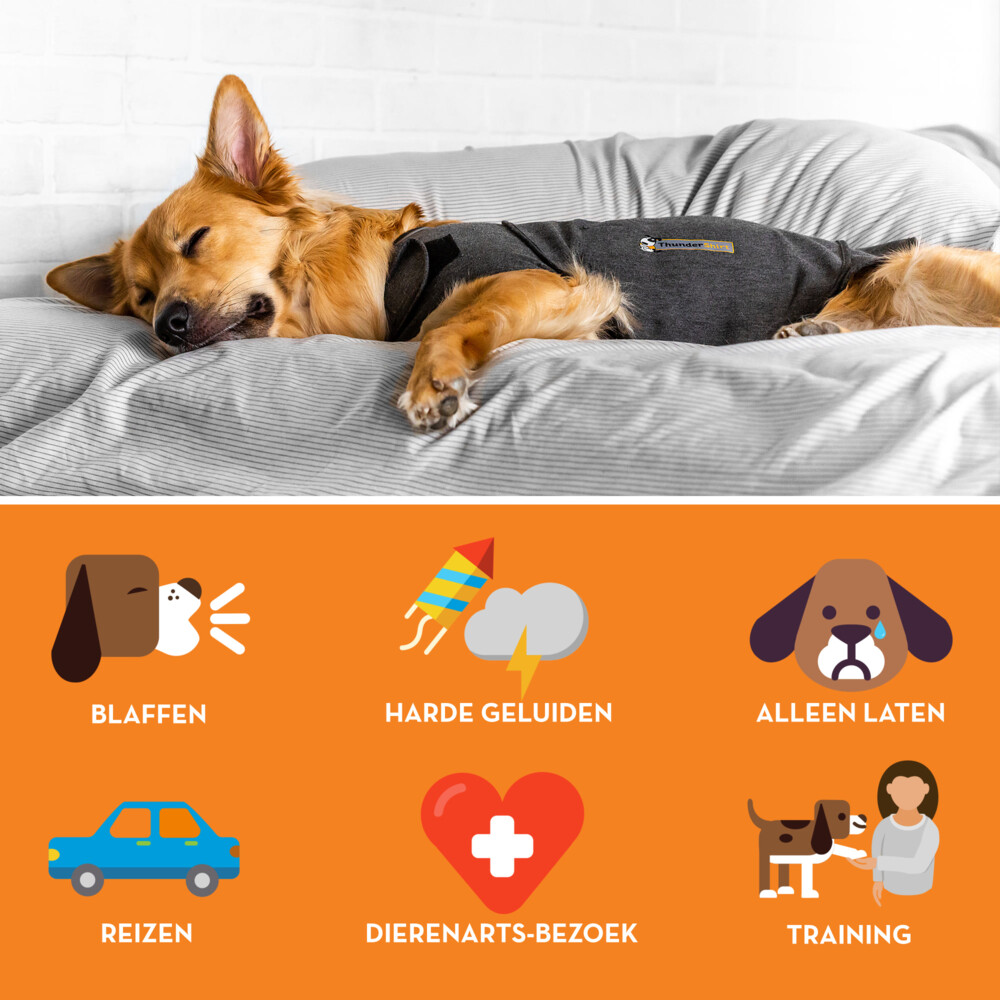 Thundershirt Hond Large >18 - 29 kg