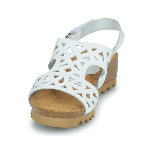 Dorking - SUMMER - Blanc