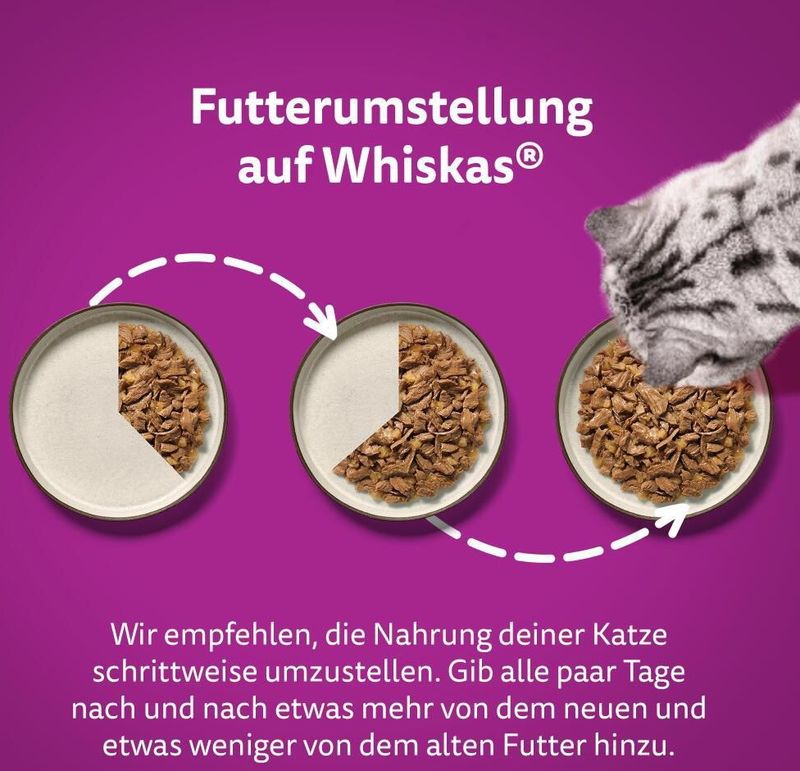 Whiskas - 1+ Adult Maaltijdzakjes - Klassieke Selectie in Saus - 48 x 85 g - Rund Lam Gevogelte Kip