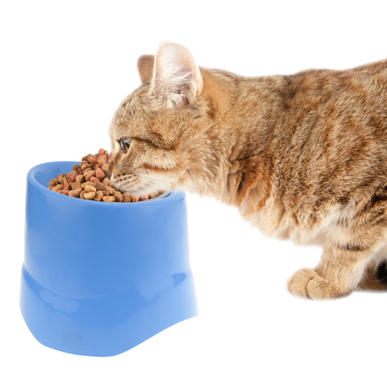 Tigela elevada para cães e gatos, 14 cm