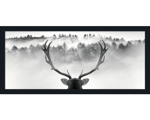 Ingelijste foto Koning van het Woud 60x130cm