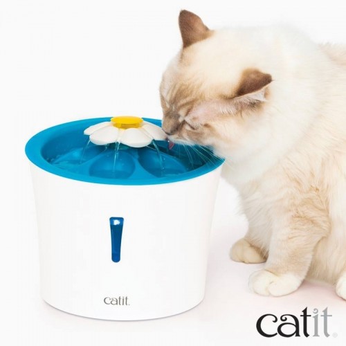 Fonte de água LED em formato de flor para gatos
