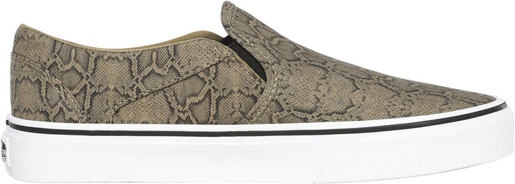 Vans Asher Brun