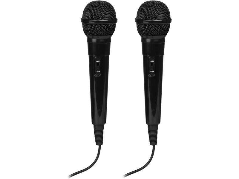 Fenton Lautsprecher KAR15B mit 2 Mikrofonen Tragbare Karaoke-Maschine mit spektakulärer Lichtshow