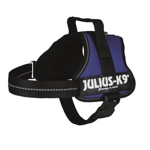 Coleira de Reforço Julius K-9 Roxa para Cães