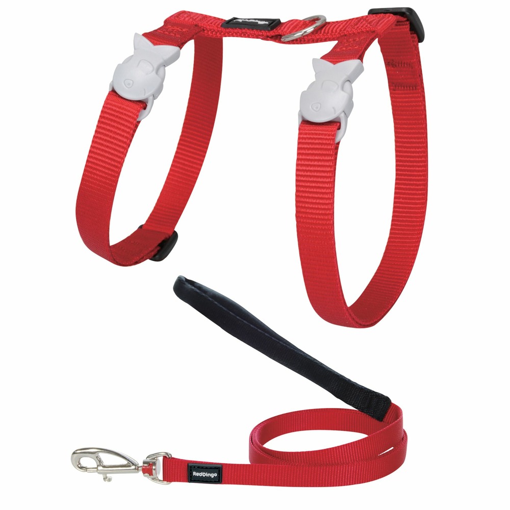Ensemble harnais et laisse red dingo chats basic rouge