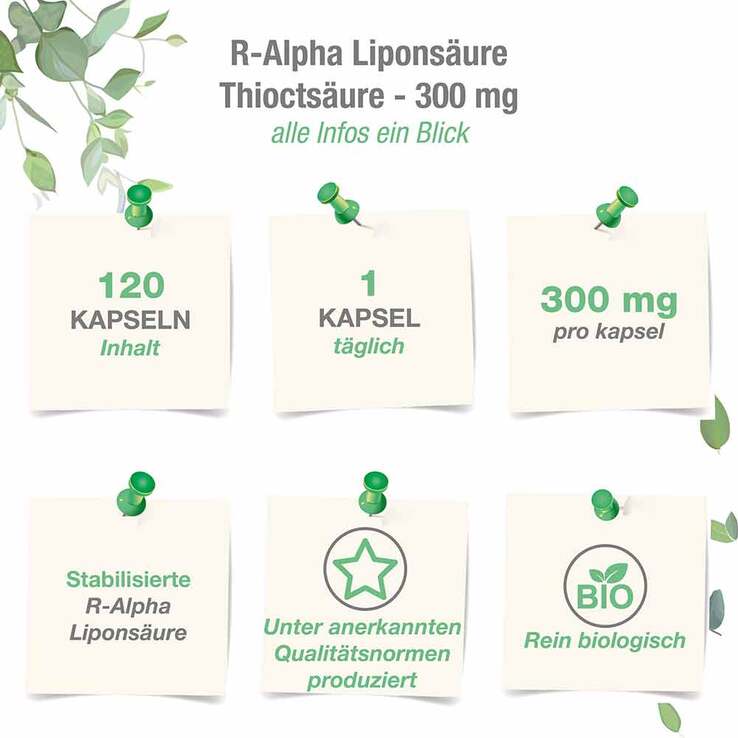 R-Alpha-Liponsäure 300 mg mit Thioctsäure Kapseln, 120 St
