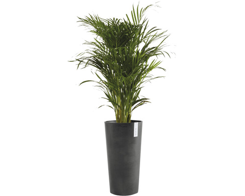 Ecopots Amsterdam plantenbak, kunststof, Ø 34 cm, H 66 cm, donkergrijs