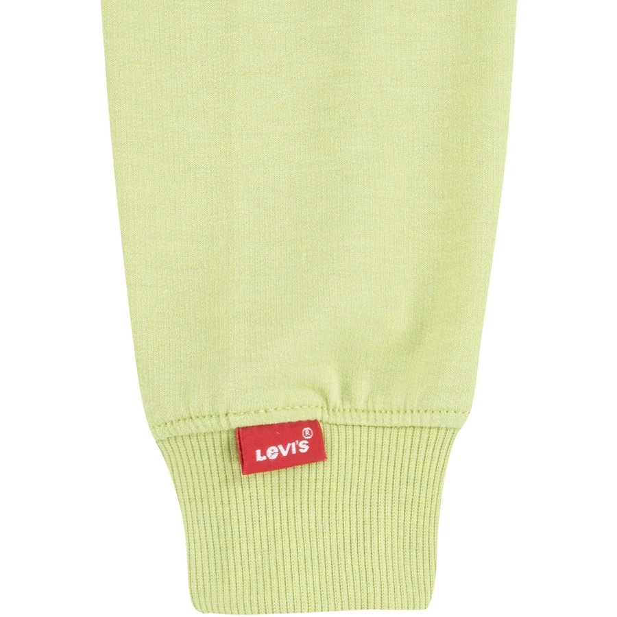 Levi's® Kids Sweatshirt Nile Green