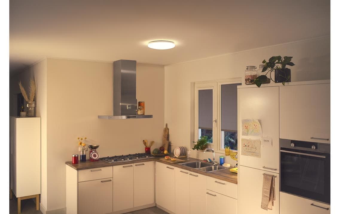 Deckenleuchte »WiZ Ceiling 17W RD 2700K« Warmweiss