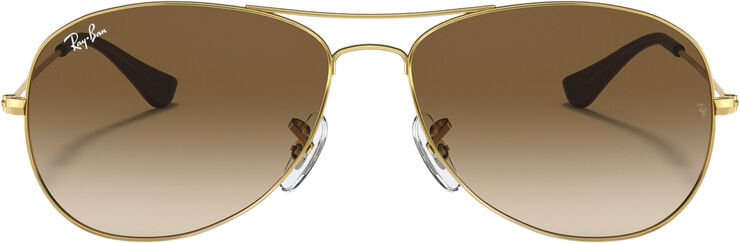 Ray-Ban COCKPIT Arista
