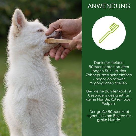 Wolfsbacher Natur Zahnbürste aus Bambus