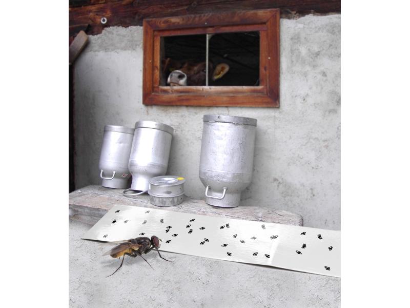 Windhager Insektenfänger Eco Fliegenfänger-Papier Umweltfreundliches Fliegenfänger-Papier