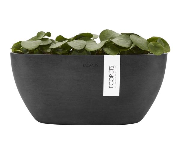 Ecopots Kunststoff-Schale Sofia mit