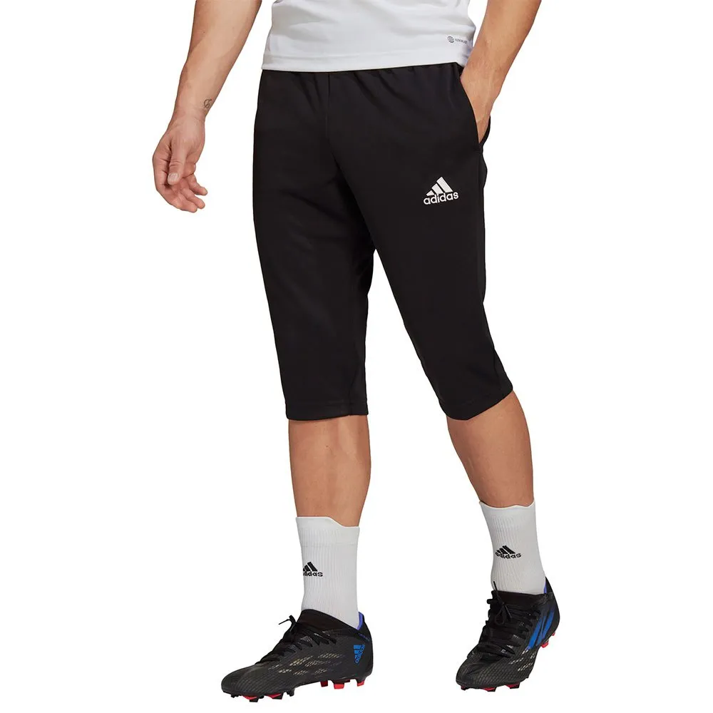 adidas Entrada 22 3/4 hosen