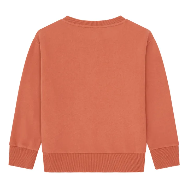 Hundred Pieces Sweat  Coton Bio  | Argile