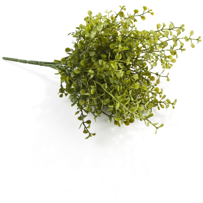 Buchsbaumzweig - 28 cm