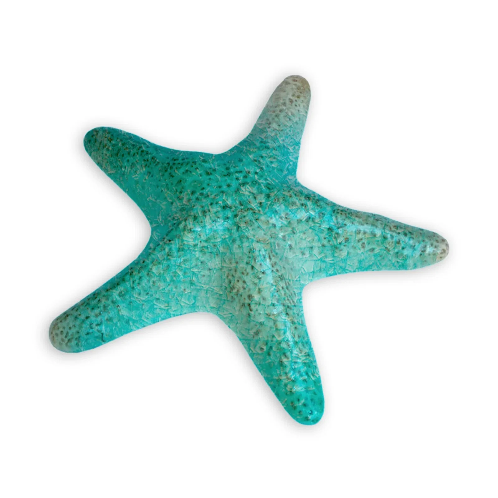 Dekorasjonssjøstjerne Coral Lengde 14 cm