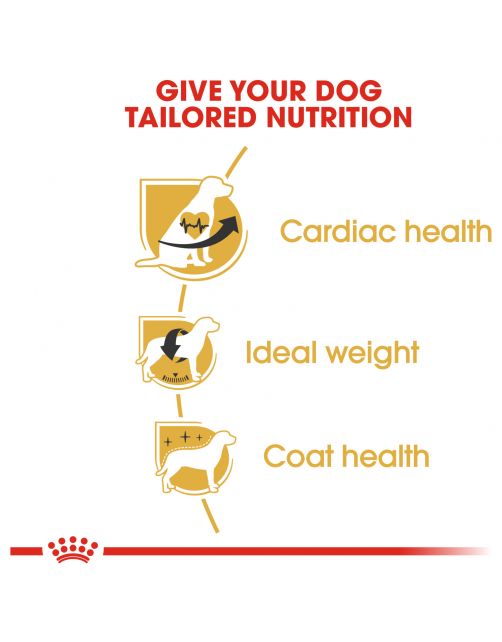 Royal Canin Cavalier King Charles Adult - Hondenvoer