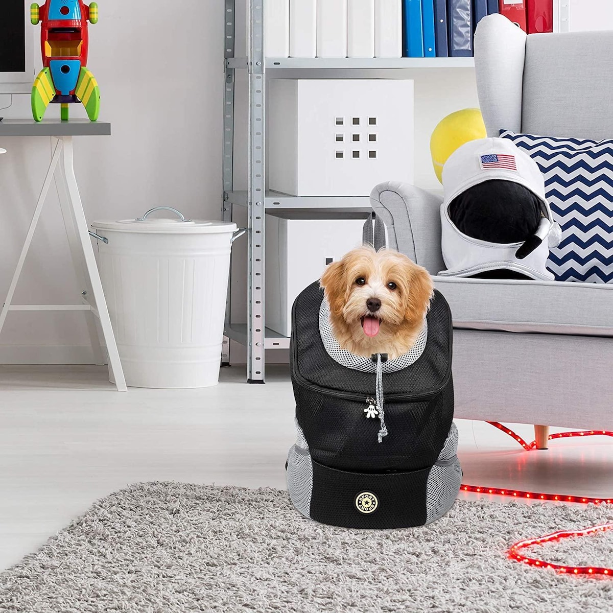 Ryggsekk for å bære hund (M) Svart