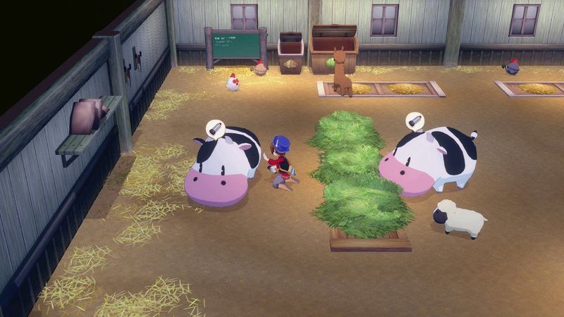 Title: Story of Seasons - Grand Bazaar - Nintendo Switch 2 - Game