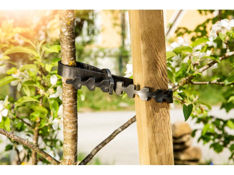 Windhager Gummi-Baumanbinder, 2 Stück Zum Fixieren von Bäumen an Pfählen
