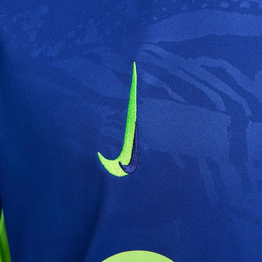 FC Barcelone T-shirt d'Entraînement Dri-FIT Academy Pro Avant-Match 3ème - Bleu Royal/Vert