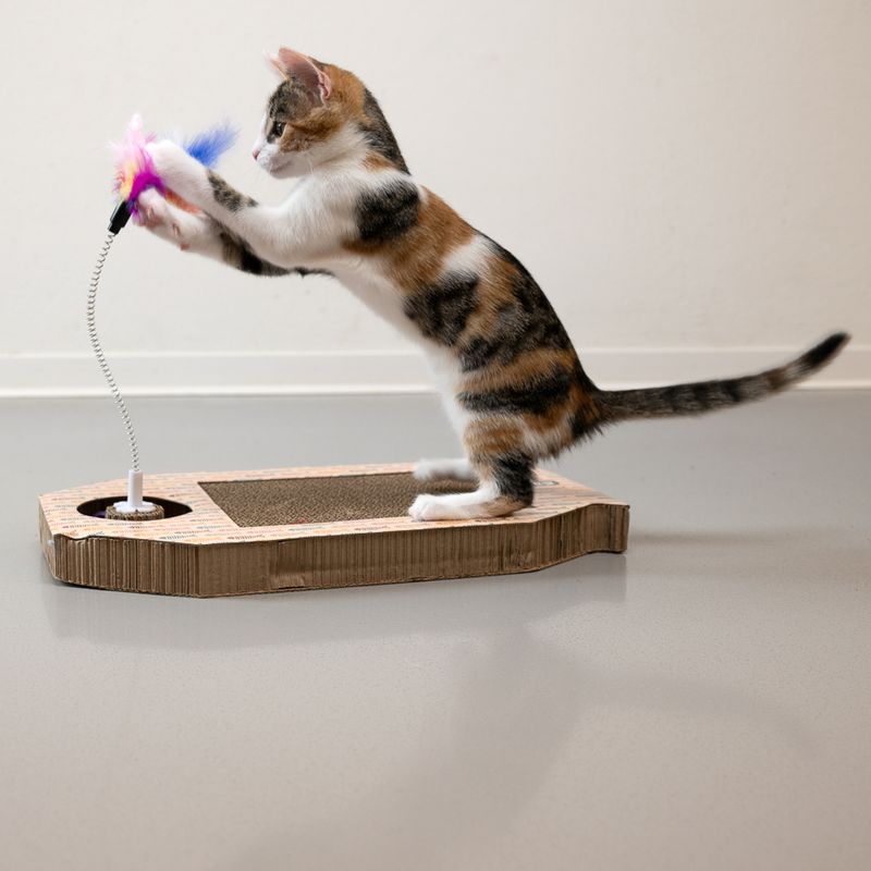 Griffoir TIAKI Poisson avec circuit à bille pour chat