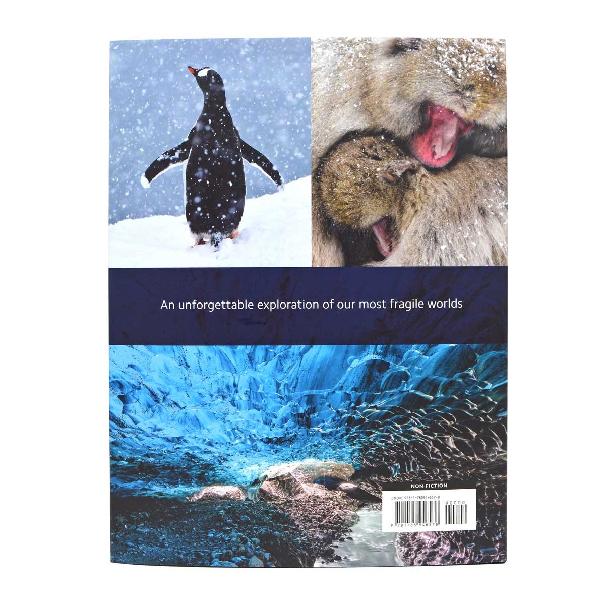 Frozen Planet II (Hardback)