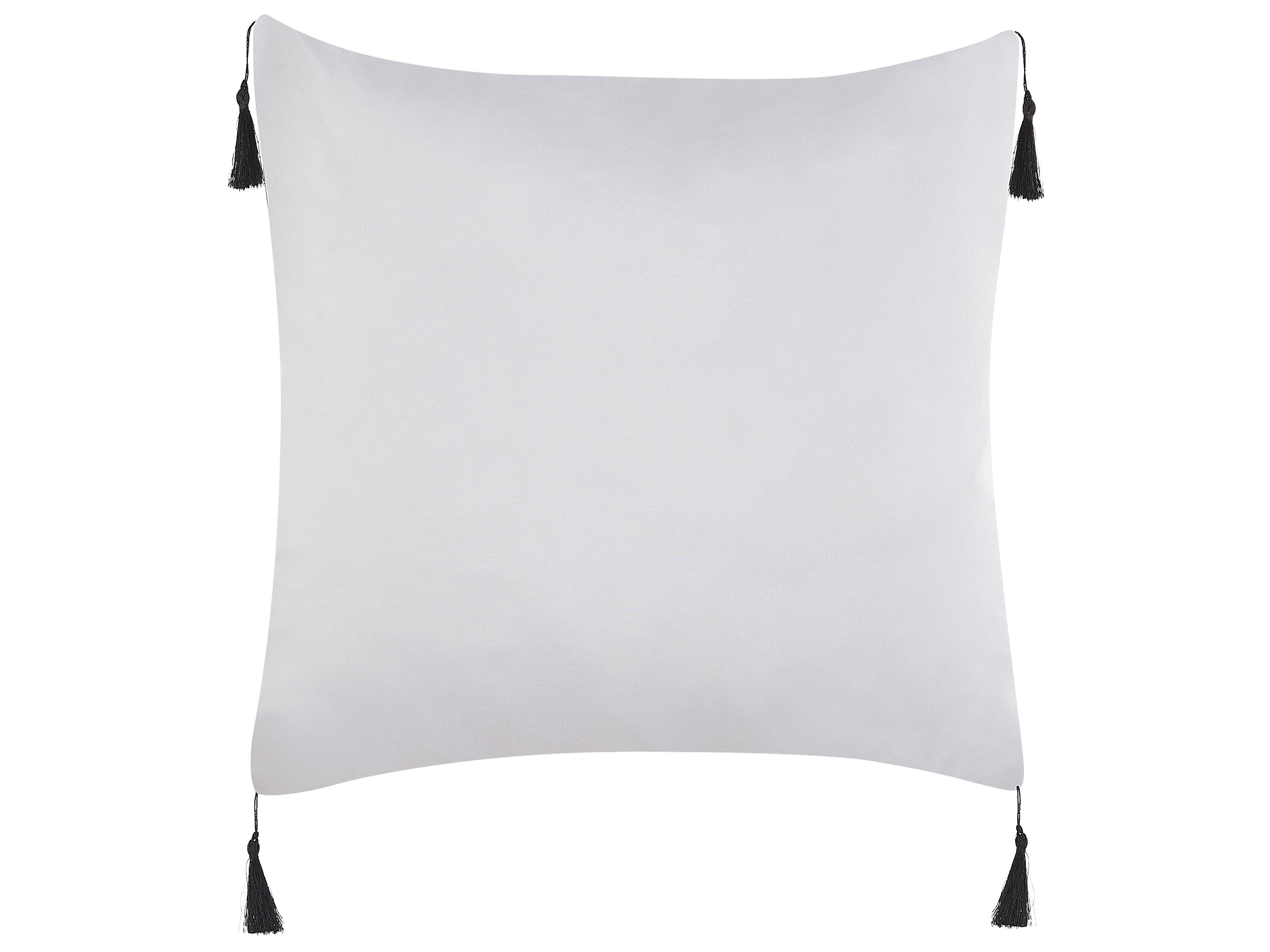 Set van 2 sierkussens LIRIOPE 45 x 45 cm Zwart/wit geometrisch patroon