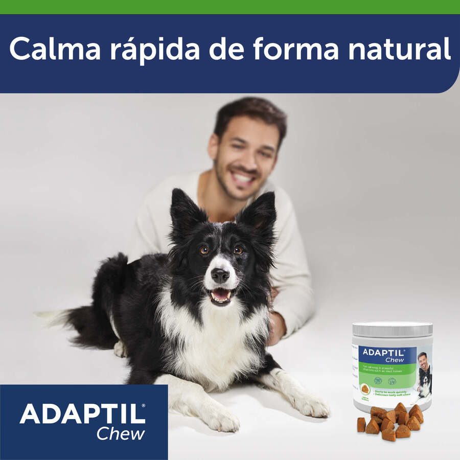 Comprimidos Relaxantes Adaptil para Estresse Ocasional em Cães
