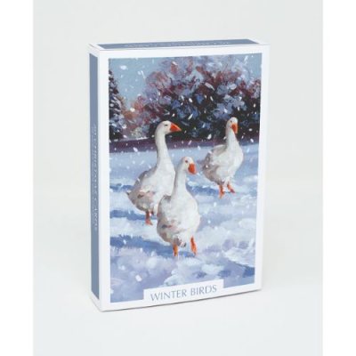 Winter Birds x16