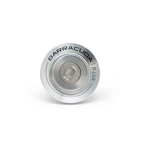 Barracuda - Inserts pour rétroviseurs A-Version Argent