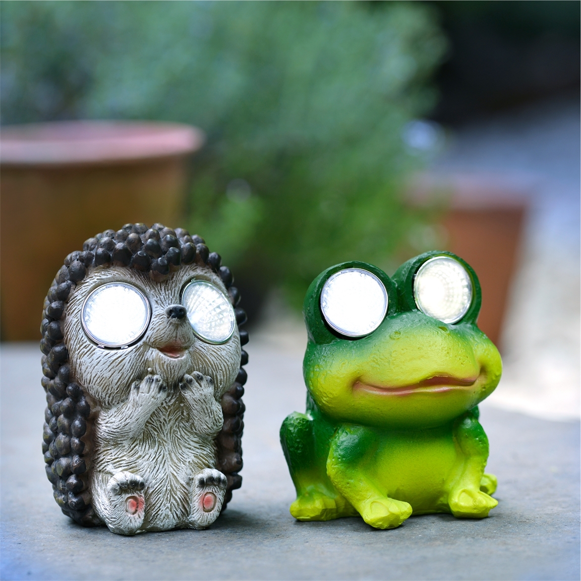Hérisson ou grenouille solaire