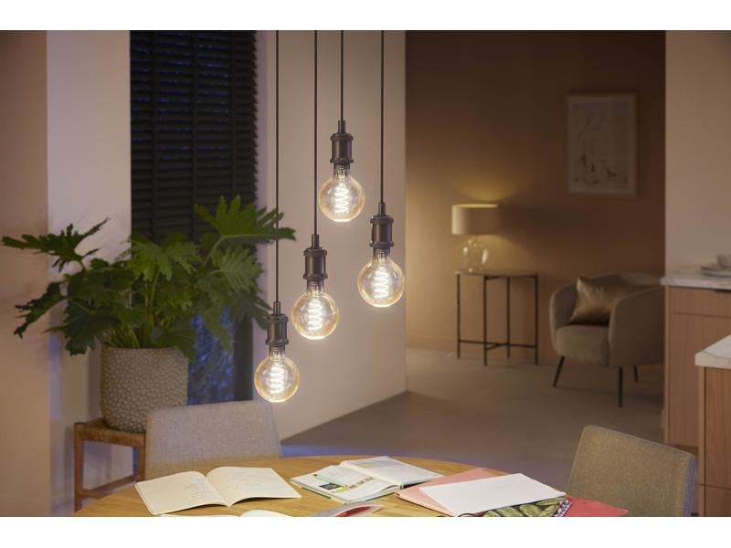 Philips Hue White Ambiance E27 Einzelpack Globe G93 Filamen Filamentleuchtmittel mit E27 Sockel