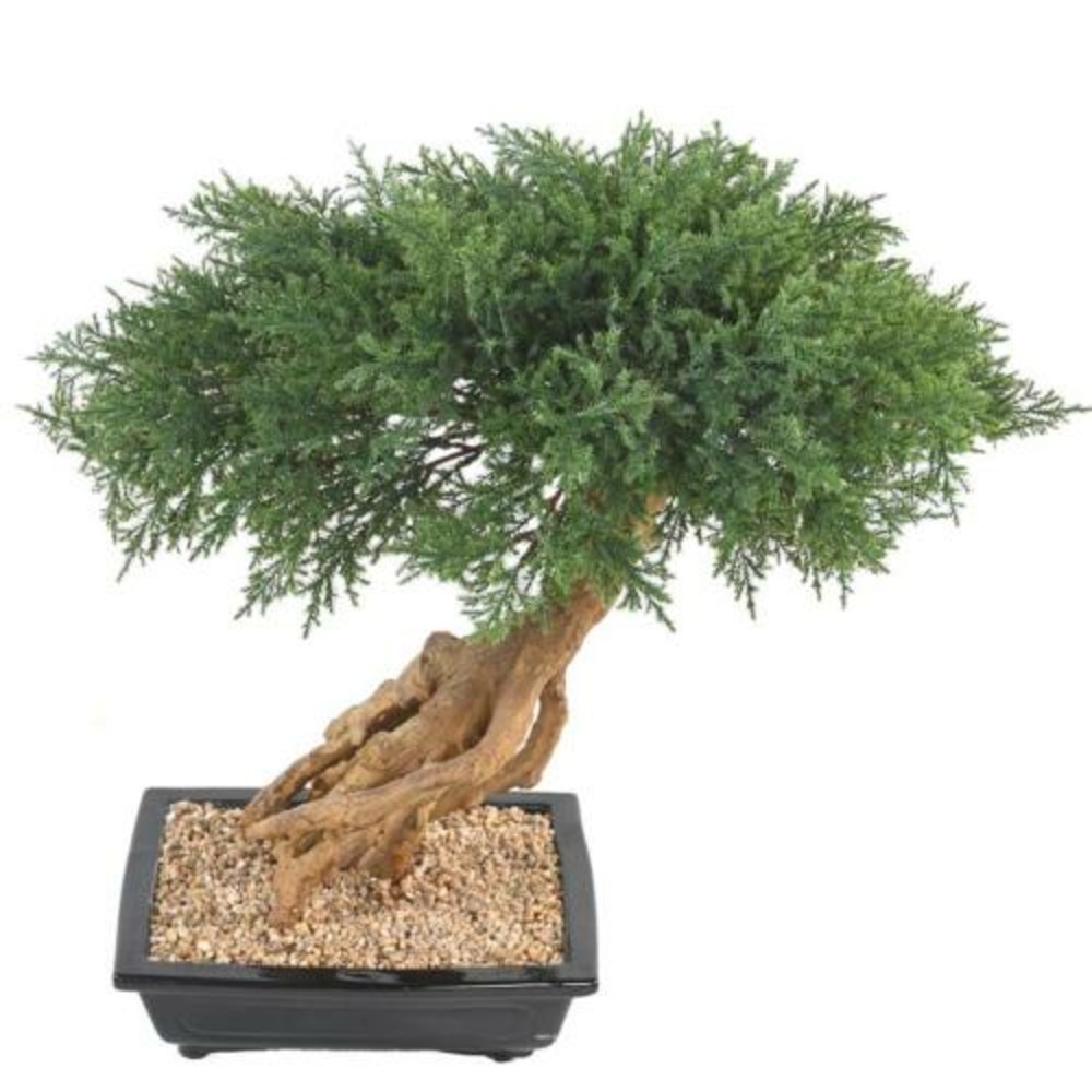 Bonsaï genévrier artificiel h 60 cm d 60 cm en pot - choisissez votre hauteur: h