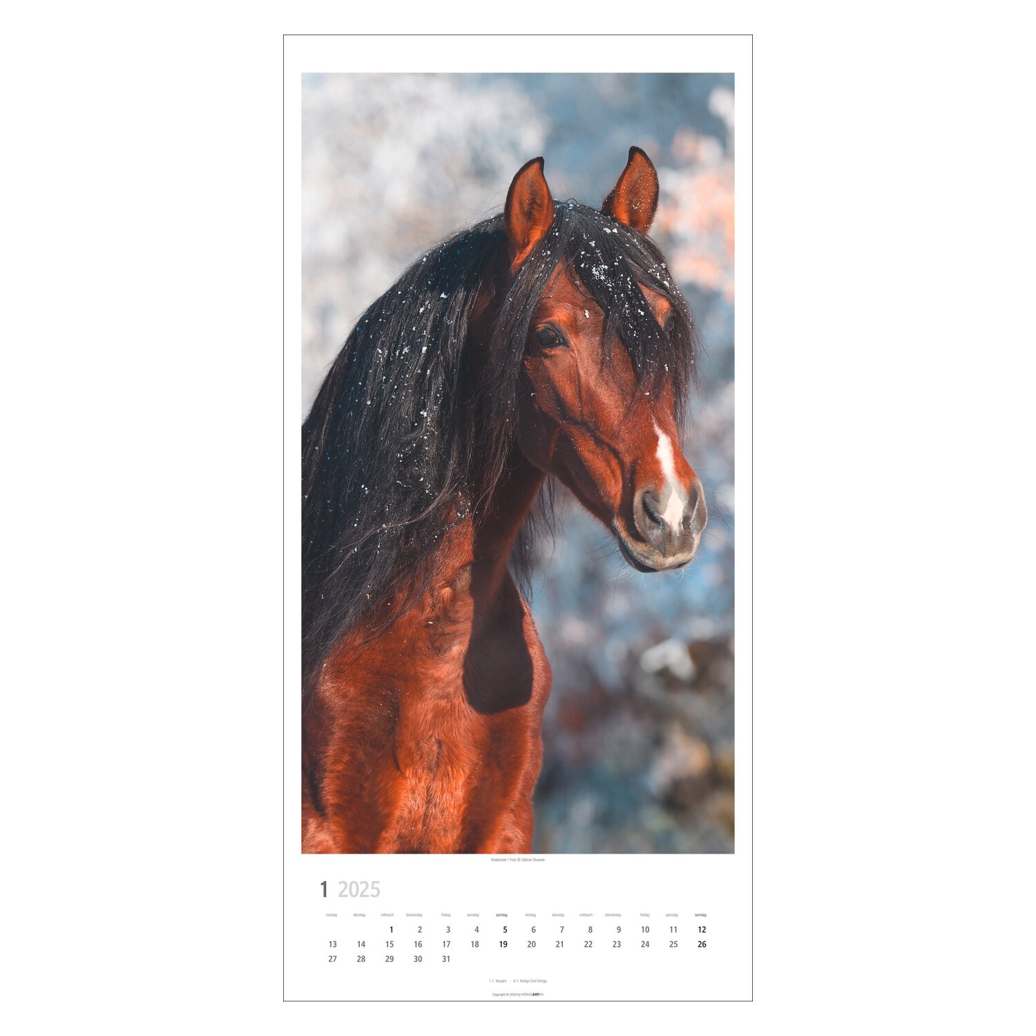 Kalender Pferde 2025