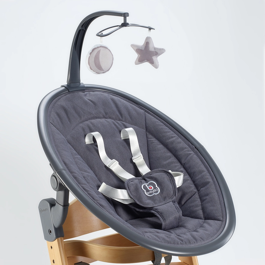 babyGO Hochhstuhl-Set Newborn Family Natur  Grey
