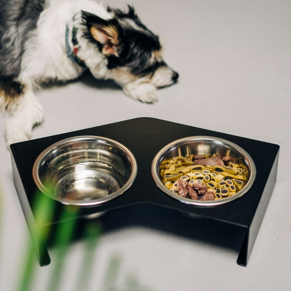 Liqui - set de 2 gamelles chien surélevées en acier, socle design métal noir