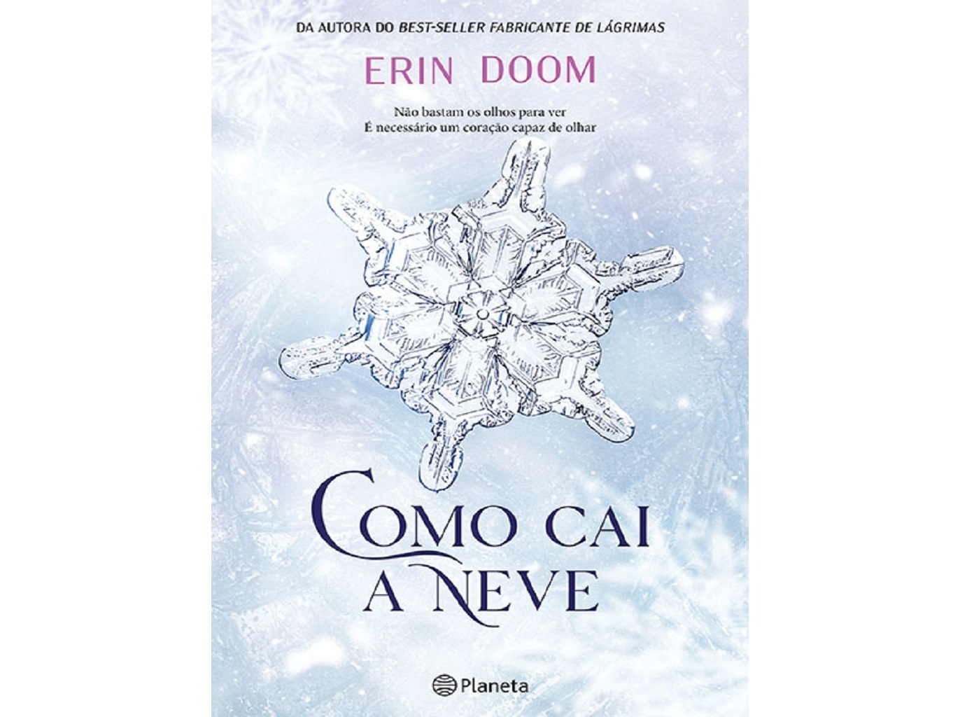 LIVRO COMO CAI A NEVE