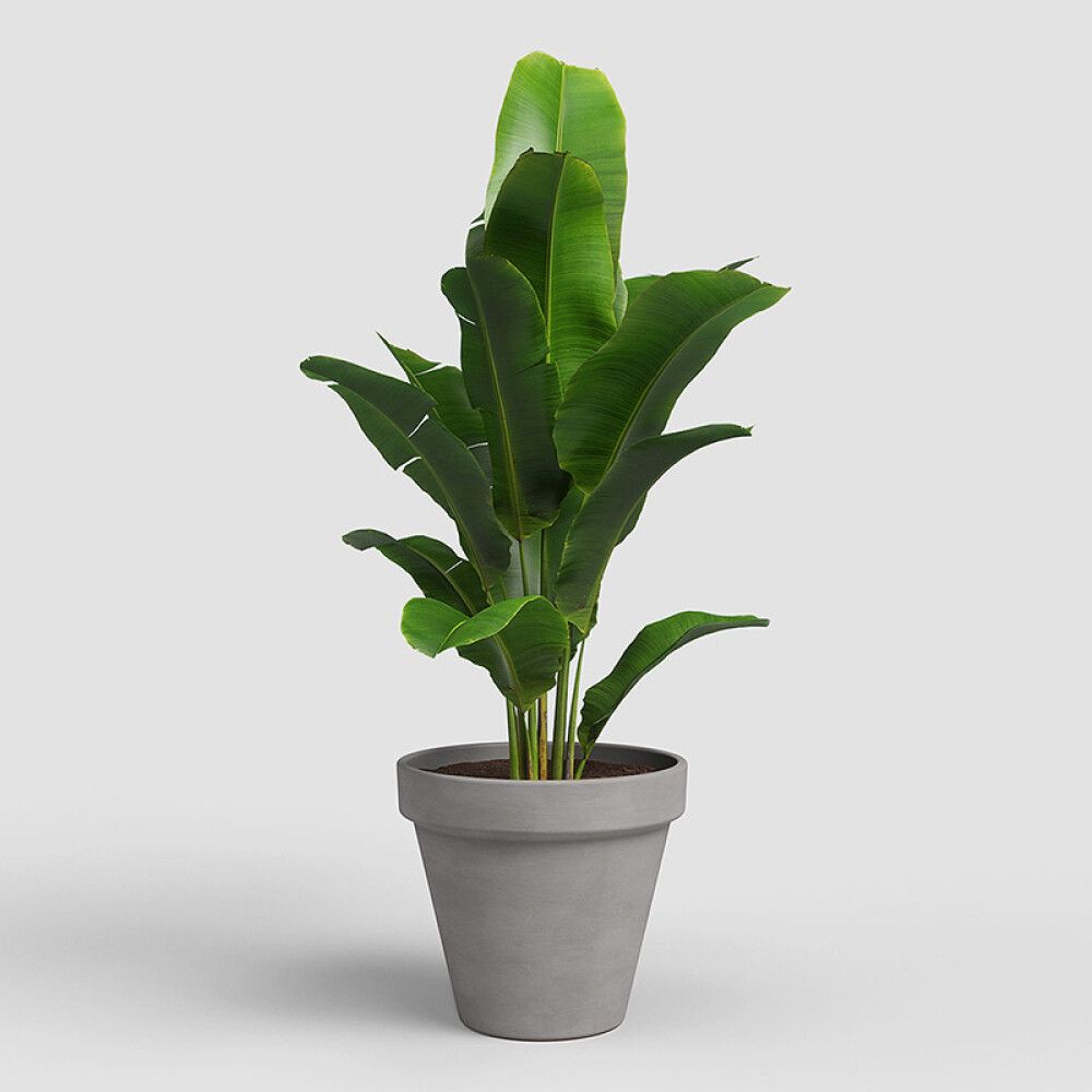 UTEPOTTE ARTEVASI AMÁLIA TERRAKOTTA VULCANO 21CM