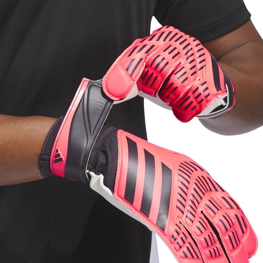 adidas Gants de Gardien Predator Training Vivid Horizon - Turbo/Aurora Black
