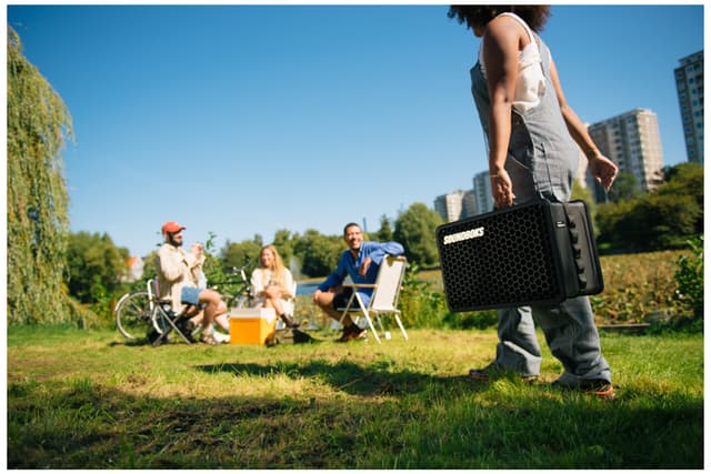SOUNDBOKS GO bærbar højttaler