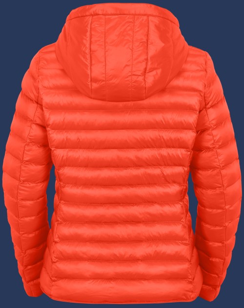 Italy Hood MoShiHiTec, Firered