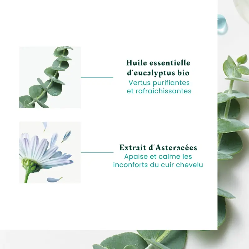 René Furterer Concentré apaisant fraîcheur et pureté Astera Head Spa - Flacon de 50 ml