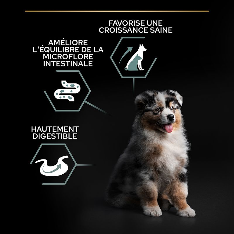 PURINA PRO PLAN All Sizes Puppy Sensitive Digestion sans céréales dinde