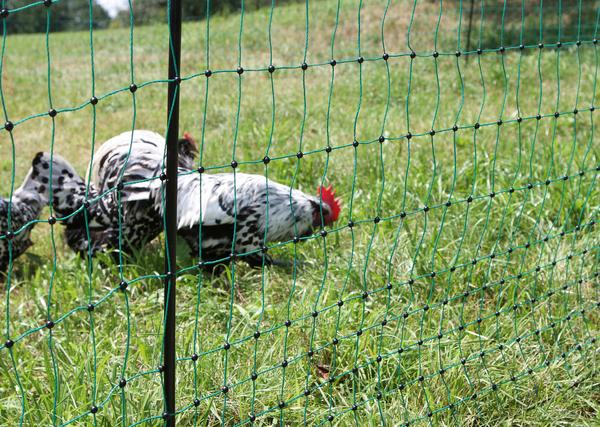KERBL Geflügelnetz PoultryNet Doppelspitze,