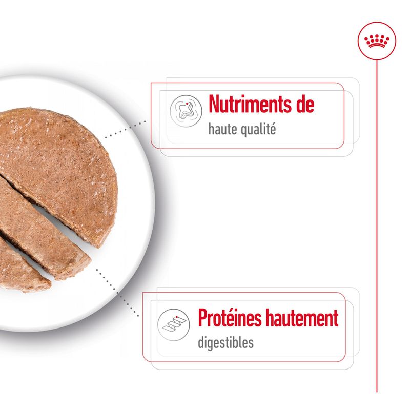 Royal Canin Maxi Adult Mousse
